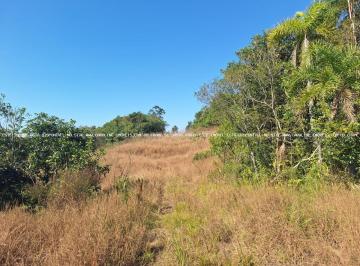 20240814144653748.jpeg · Área Rural para Venda em Mariana Pimentel, Linha Saint Brisson