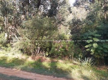 2023091412134226580.jpg · Terreno para Venda em Eldorado do Sul, Guaíba Country Club