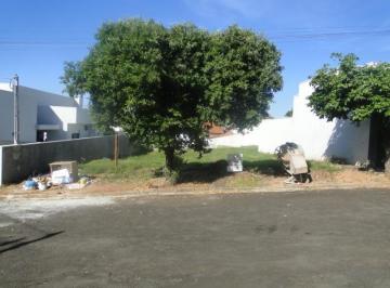 Foto 01 · Terreno, Residencial Santa Mônica, Osvaldo Cruz, SP