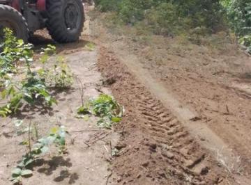Rural , Barão de Grajaú · FAZENDA BRUTA COM 10.000 HÁ. À VENDA - BARÃO DO GRAJAÚ-MA
