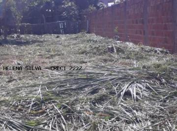 202505221421045421.jpeg · Terreno para Venda em Anastácio, centro