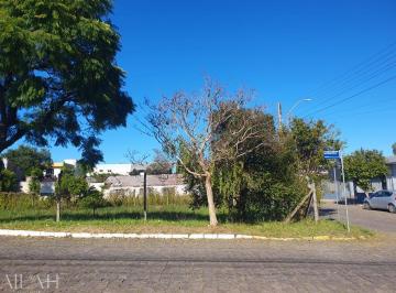 36803870_g.jpg · 
                                Terreno em Farroupilha, frente norte.
                            