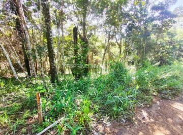 202505221746067704.jpg · Terreno para Venda em Uruçuca, Gavião