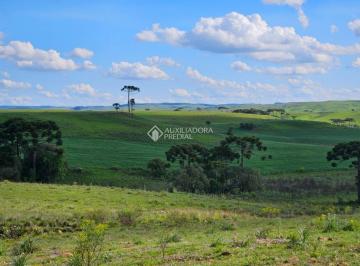712612_i118ngCa71_712612682dd5710f890.jpg · Área de terras em São Francisco de Paula