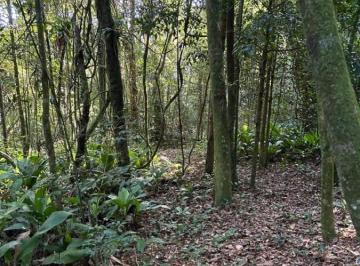 20230705104508773563.jpg · Terreno para Venda em Santo André, Parque das Garças
