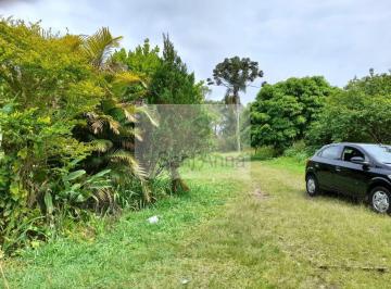 202411061104595494.jpg · Área Rural para Venda em Mogi das Cruzes, Cocuera