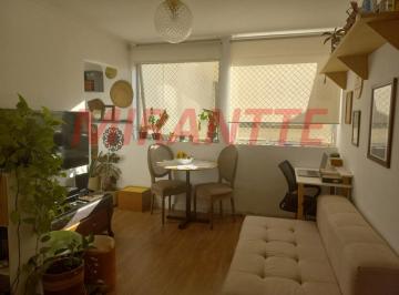 9b419972df559b6feeab8e8bec938f64.jpg · Apartamento de 47m² com 1 quartos