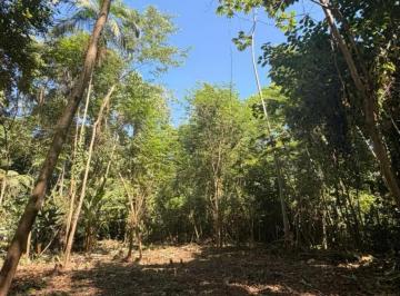 Imagem do Imóvel · Lote liberado para construção imediata na Praia de Itamambuca