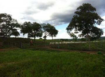 1087240872.jpg · FAZENDA GUARANI-GO 230 ALQ.PRÓPRIA P/ENGORDA DE GADO,COM GEO