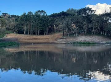 Rural , Campo Alegre · Area em Campo Alegre