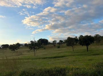 Terreno , Pedro Leopoldo · Terreno de 44000 m² en Andyara para Venda
