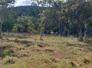 3528_i3mrTmLr55_3528682e2de28bd5f.jpg · Rurais à venda - em Pirenópolis