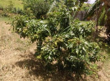 Rural · 5ha · 3 Quartos · Sítio a venda em São Luiz do Paraitinga próximo a cidade
