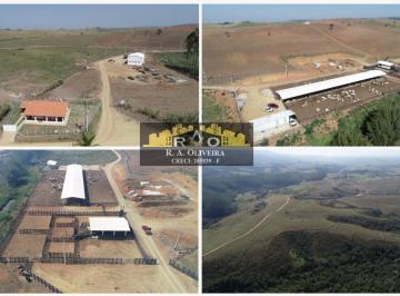 202409261422373131.jpg · Fazenda para Venda em Caçapava, Área Rural de Caçapava
