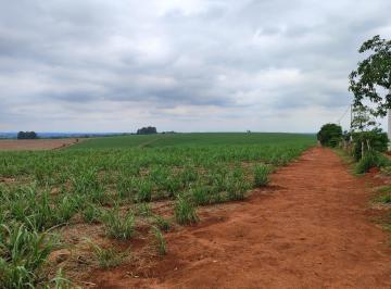 Foto 01 · EXCELENTE FAZENDA A VENDA EM ITAPETININGA-SP ?? ?   Área Total: 42 Alqueires  Em Cana: 37 Alqueires 