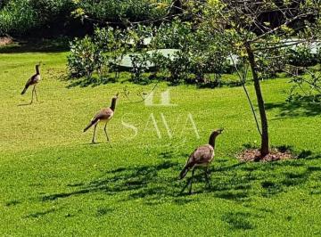 Terreno · 1000m² · Lote à venda no condomínio Gran Royalle | Casa Branca | Brumadinho | MG