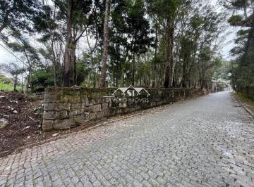 Foto-Imovel-ID064915No0012-terreno-cremerie-petropolis--17480323300387.jpeg · Imoveis - em Independência