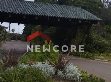 Terreno · Lote em  Rua Corruiras - Colinas - São Francisco de Paula/RS