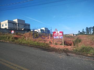 Foto 13 · Terreno, Guamiranga, Guaramirim, SC