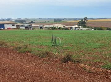 Foto 01 · Excelente oportunidade: Terreno industrial de 1.401,00 m² à venda em Selbach-RS na ERS 223!