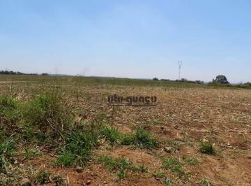 f32b9a6cdf69842669b7f743ca8b82c7822cdb90 · Sítio à venda, 404140 m² por R$ 8.520.000,00 - Bom Retiro - Porto Feliz/SP