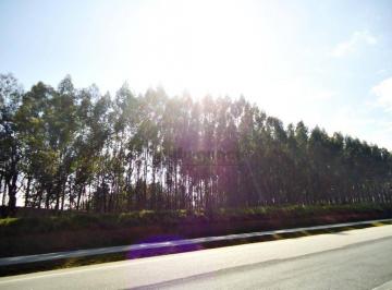 2e96e40fd6cdbf3cf2b3ad5c16886b25cea7ecc9 · Área à venda, 270000 m² por R$ 21.600.000,00 - Canjica - Salto/SP