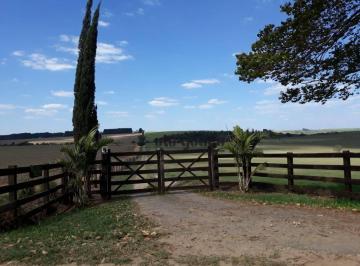 d0b9518e10279cdd2a1ead752a07faea69608f53 · Haras à venda, 169400 m² por R$ 6.000.000,00 - Área Rural - Tietê/SP