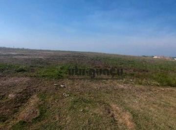 7a1374e65207f62a58f0259aeff95b114147d0cf · Terreno à venda, 800 m² por R$ 1.100.000,00 - Condomínio Campos de Santo Antônio - Itu/SP