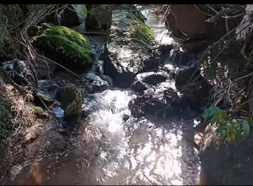 202411010943352578.png · Terreno para Venda em Socorro, Bairro rural