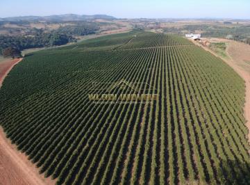 202506121537514732.jpeg · Fazenda para Venda em São Gonçalo do Sapucaí, 4 km da cidade