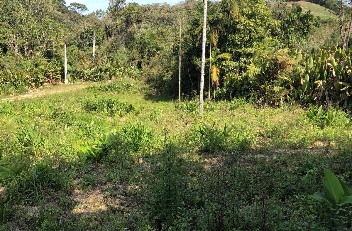 Foto - Águas Mornas - 