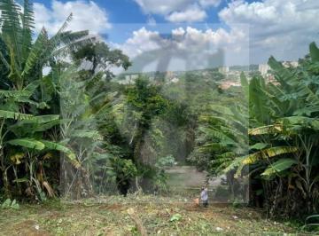 Foto · Terreno para Venda, São Paulo / SP, bairro Jardim Virginia Bianca, terreno 270,00 m²