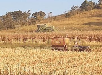 2024100923101842.jpeg · Fazenda para Venda em Minduri, 1,2 km de margem com o Rio Aiuruoca
