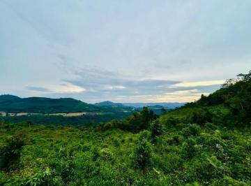 Foto 12 · Área De 8.14 Ha Com Preço Especial