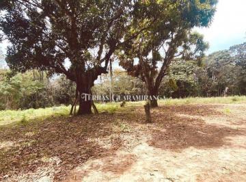 Terreno · 4m² · Terreno para venda Paca Guaramiranga