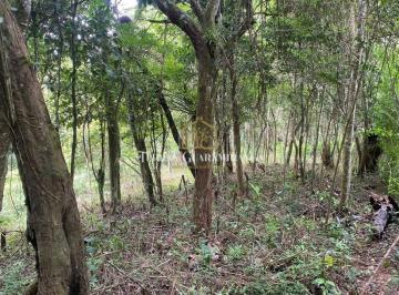 Terreno · 5019m² · Terreno para venda Lagoa Guaramiranga