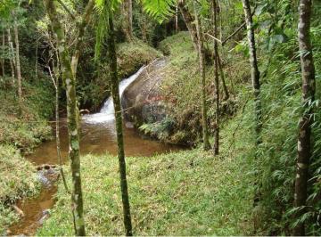 Rural · 1140000m² · Fazenda em Joanópolis: 114,5 ha com Eucalipto, Água e Potencial Ilimitado