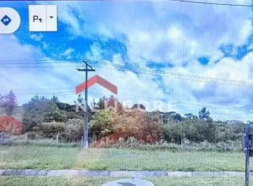 Terreno · 32000m² · Lote em  Rua Max Brose - Campo Largo da Roseira - São José dos Pinhais/PR
