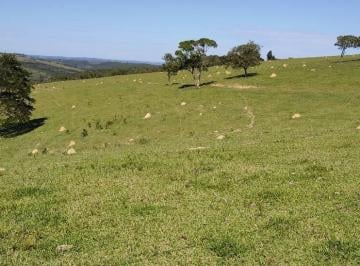 Rural · 1016400m² · 4 Quartos · 10 Vagas · Fazenda em Piedade 42 alqueires