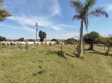 Rural · 242000m² · 4 Quartos · 10 Vagas · Sitio em Itapetininga 10 alqueires