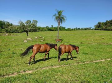 Rural · 169400m² · 3 Quartos · 5 Vagas · Chácara em Alambari, SP 7 alqueires