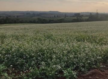 Rural · 1427800m² · Fazenda em Itapetininga