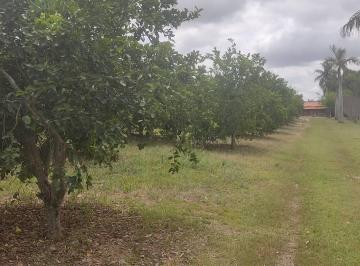 Rural · 48400m² · 3 Quartos · 4 Vagas · Sitio Itapetininga 2 alqueires