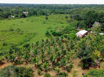 Rural , Manacapuru · Linda Fazenda com 14,9 ha no km 68 da Rodovia Manoel Urbano