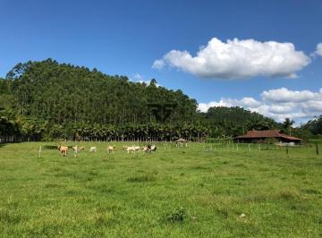 d57f0bc69e60.jpg · Sítio à venda no bairro Constulte em Apiúna/SC