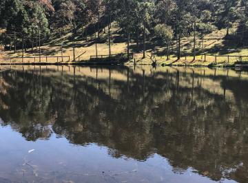 represa · Sítio lindo com uma ótima casa, represa, nascentes e floresta - Sul de MG