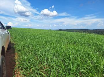 0d66d4059458469816985d534640cd83.jpeg · Fazenda / Sítios / Chácaras à venda em São Gonçalo Do Abaeté, no bairro 38790000