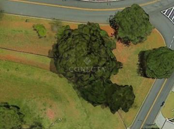 Foto 1 · Tamboré 01