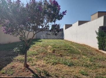 Terreno · 360m² · Terreno Plano à Venda - Jardim Botânico - 360m²