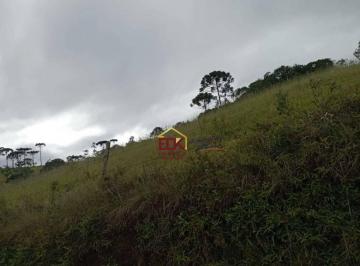 f3f6dccd9d691d3dd0b5aedd6d594ccf74eea166 · Fazenda com 1 dormitório à venda, 980000 m² por R$ 1.800.000,00 - Zona Rural - Liberdade/MG